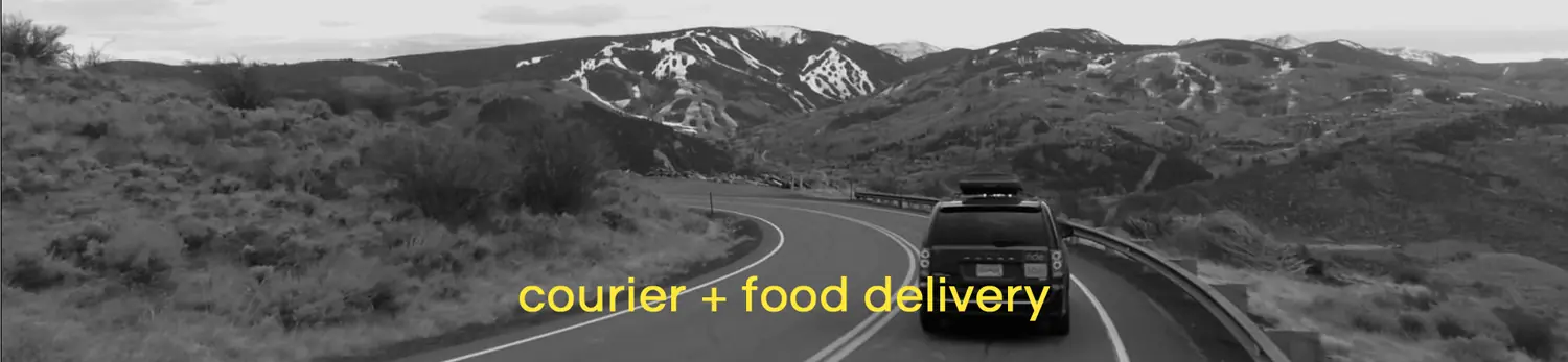 courier-food-delivery